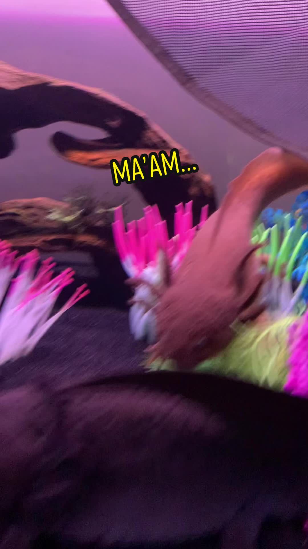 @JubJub