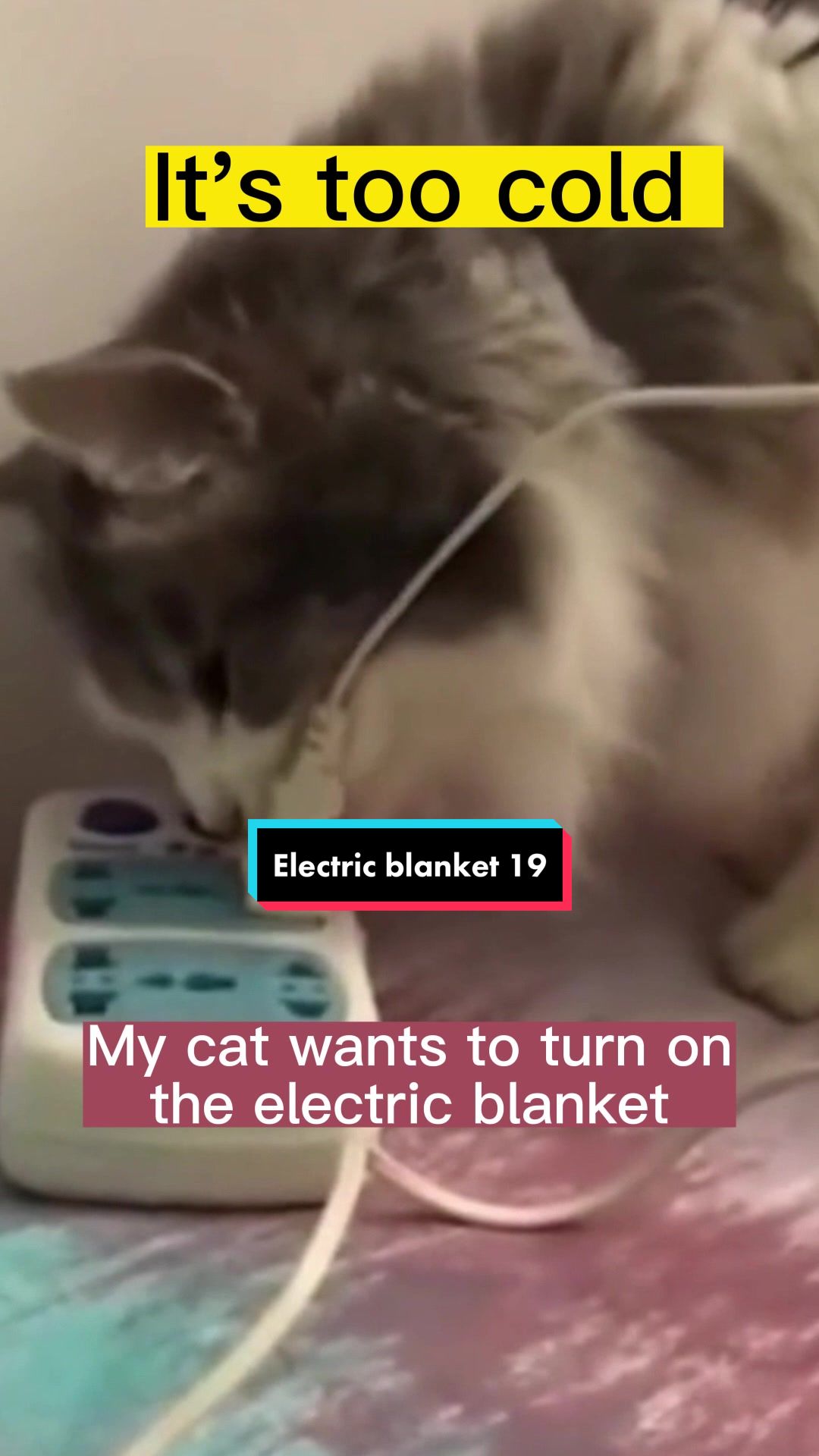 @Electric blanket factory