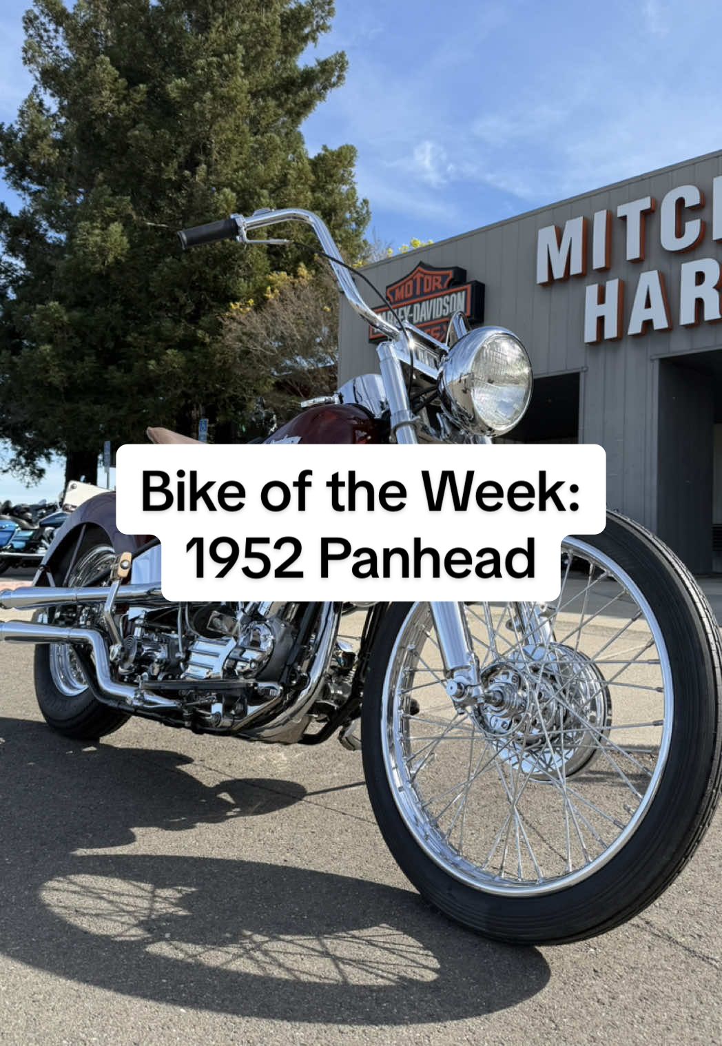 @Modesto_Harley