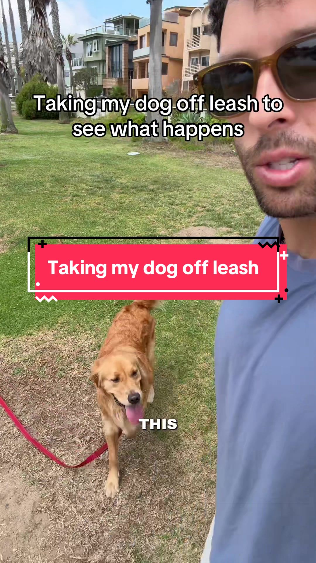 @Josh Hublitz l UGC