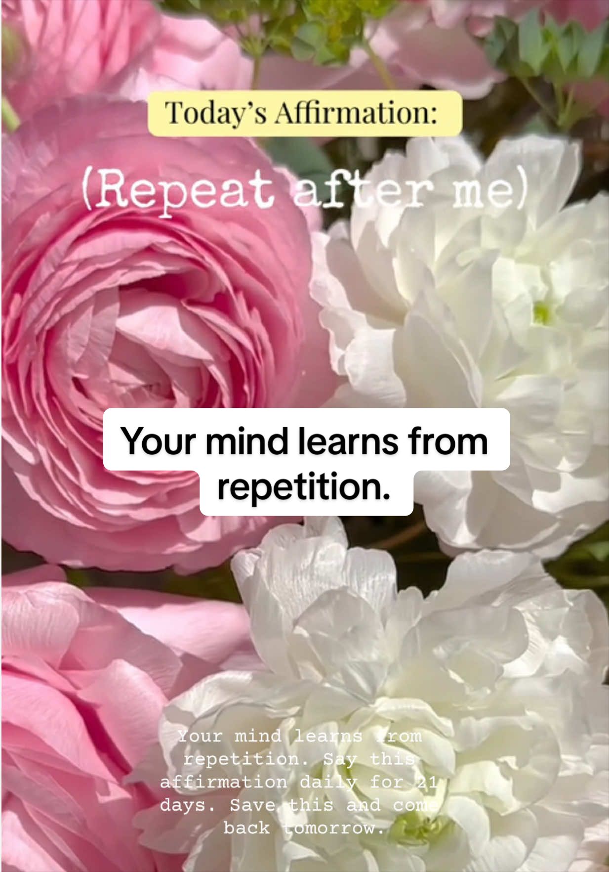 @AbundanceFlow*Manifestation