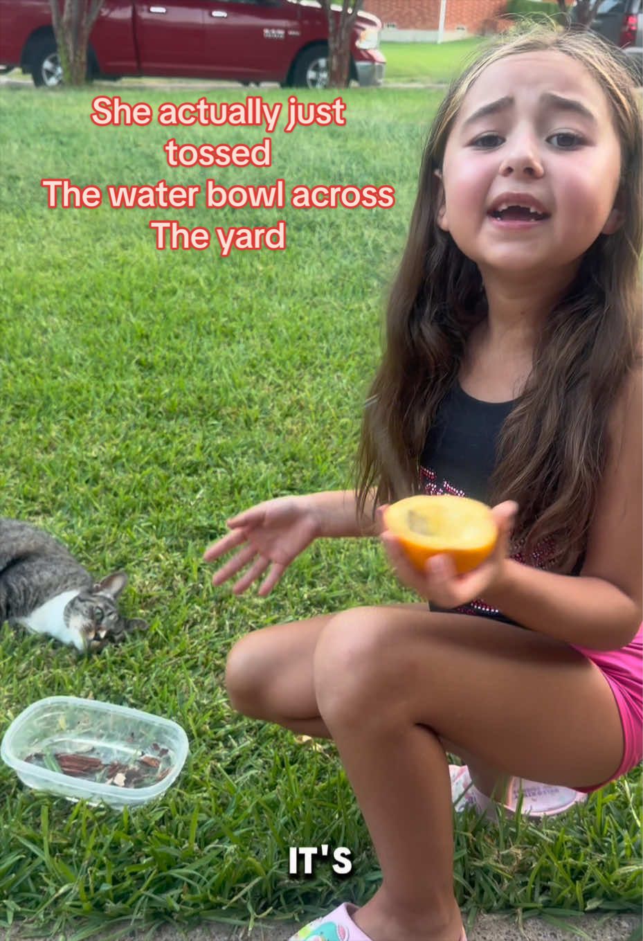 @eviegirl(PARENT ACCOUNT)
