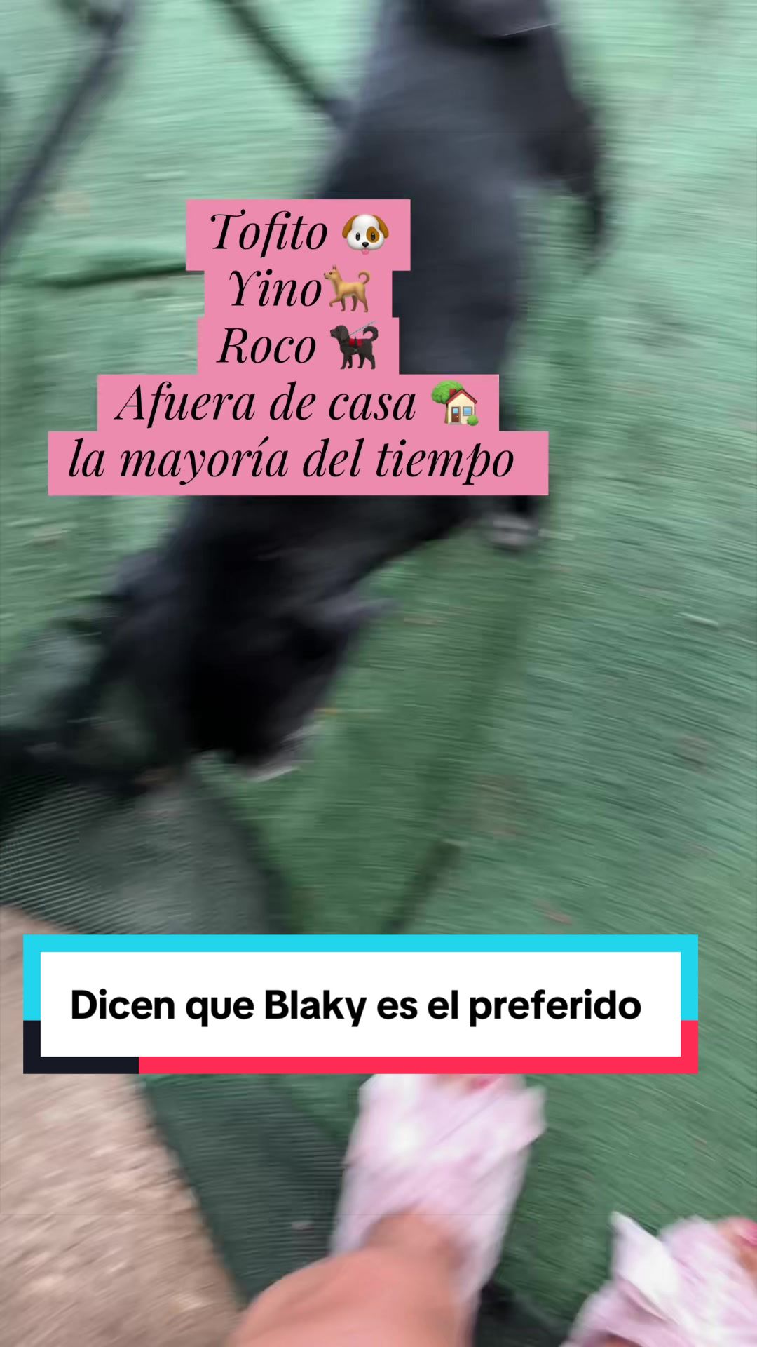 @Alba G