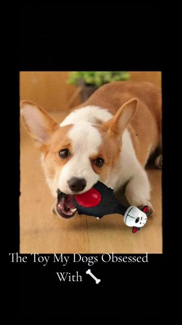 @petmartopia