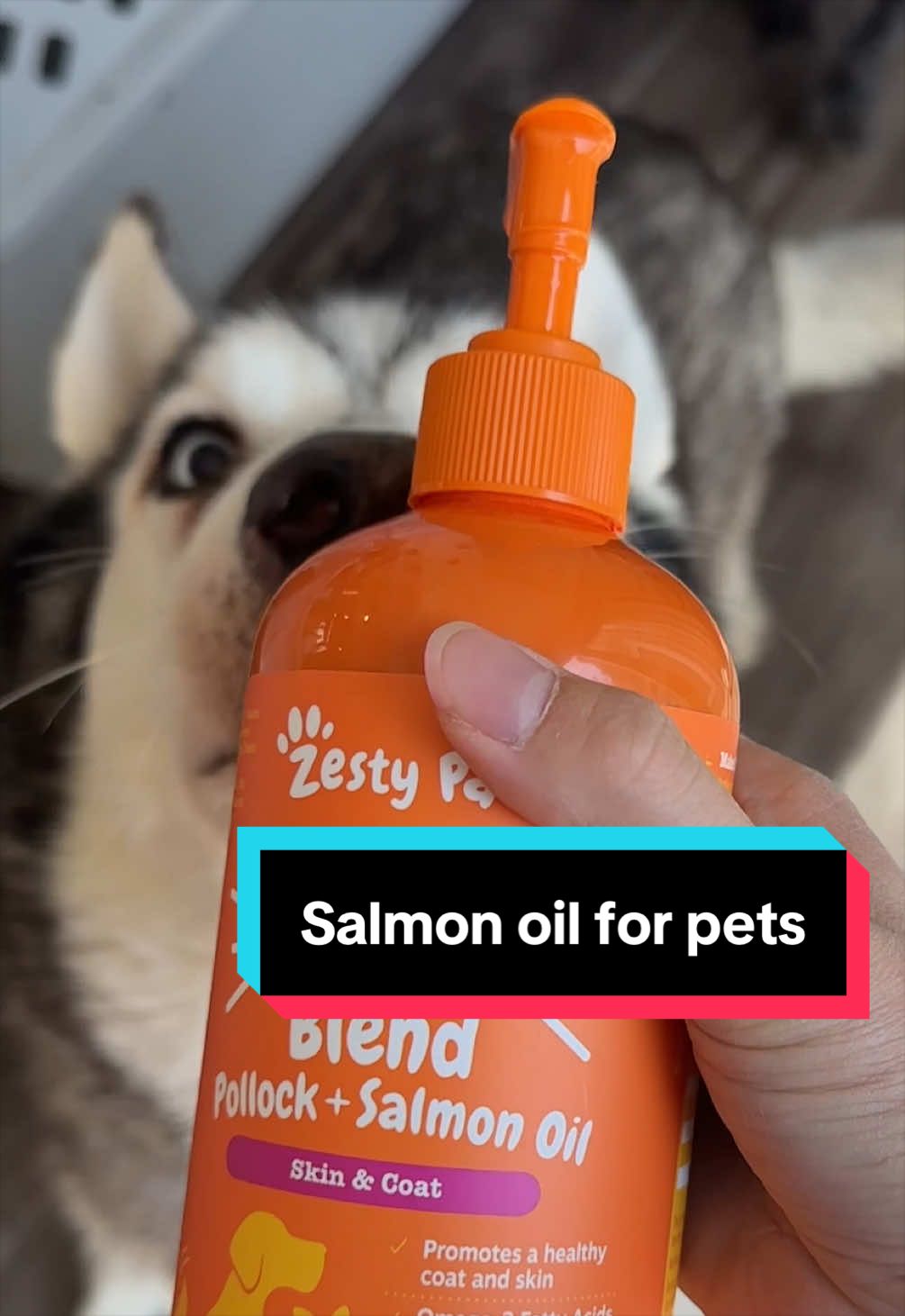 @meloncreamcat