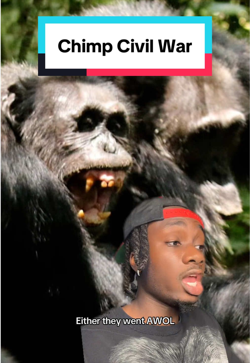@mndiaye_97