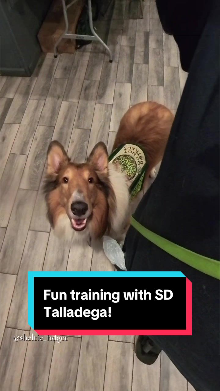 @Dakota & Pups