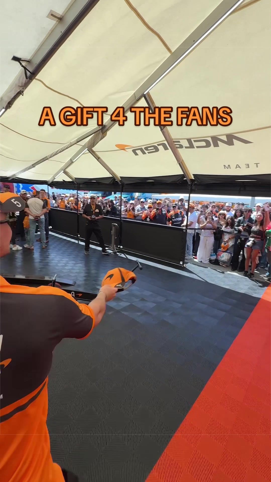 @Arrow McLaren