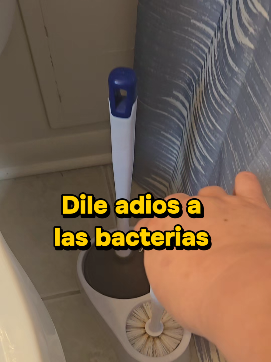 @carolina