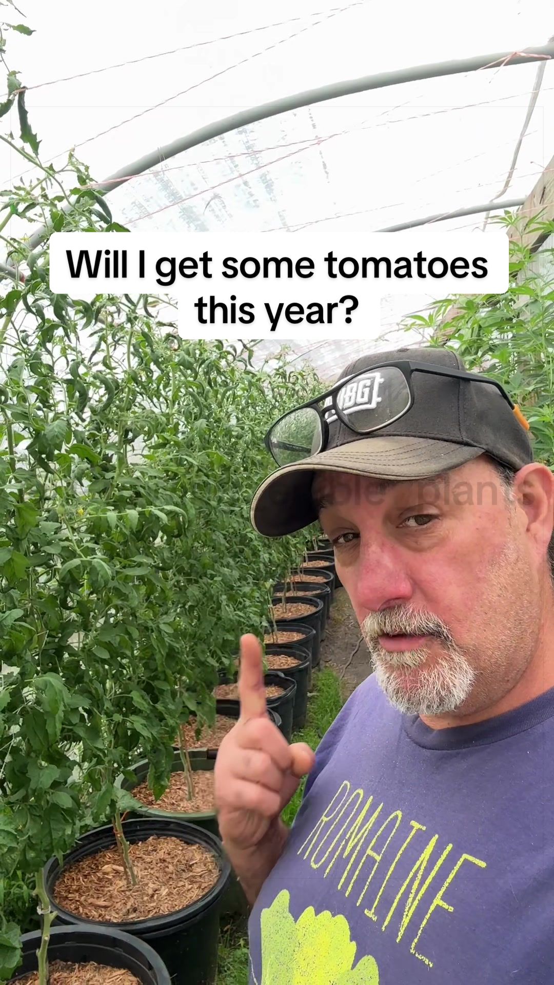 @GROWING_EDIBLE_PLANTS