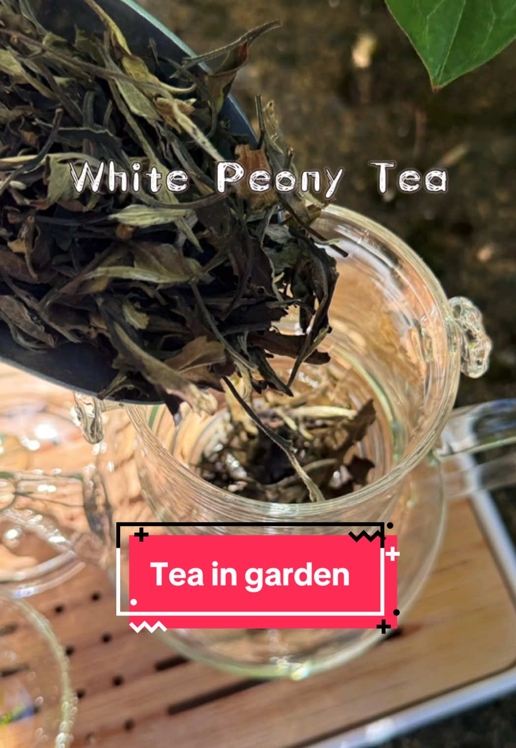 @City & Country Fine Tea Corp.