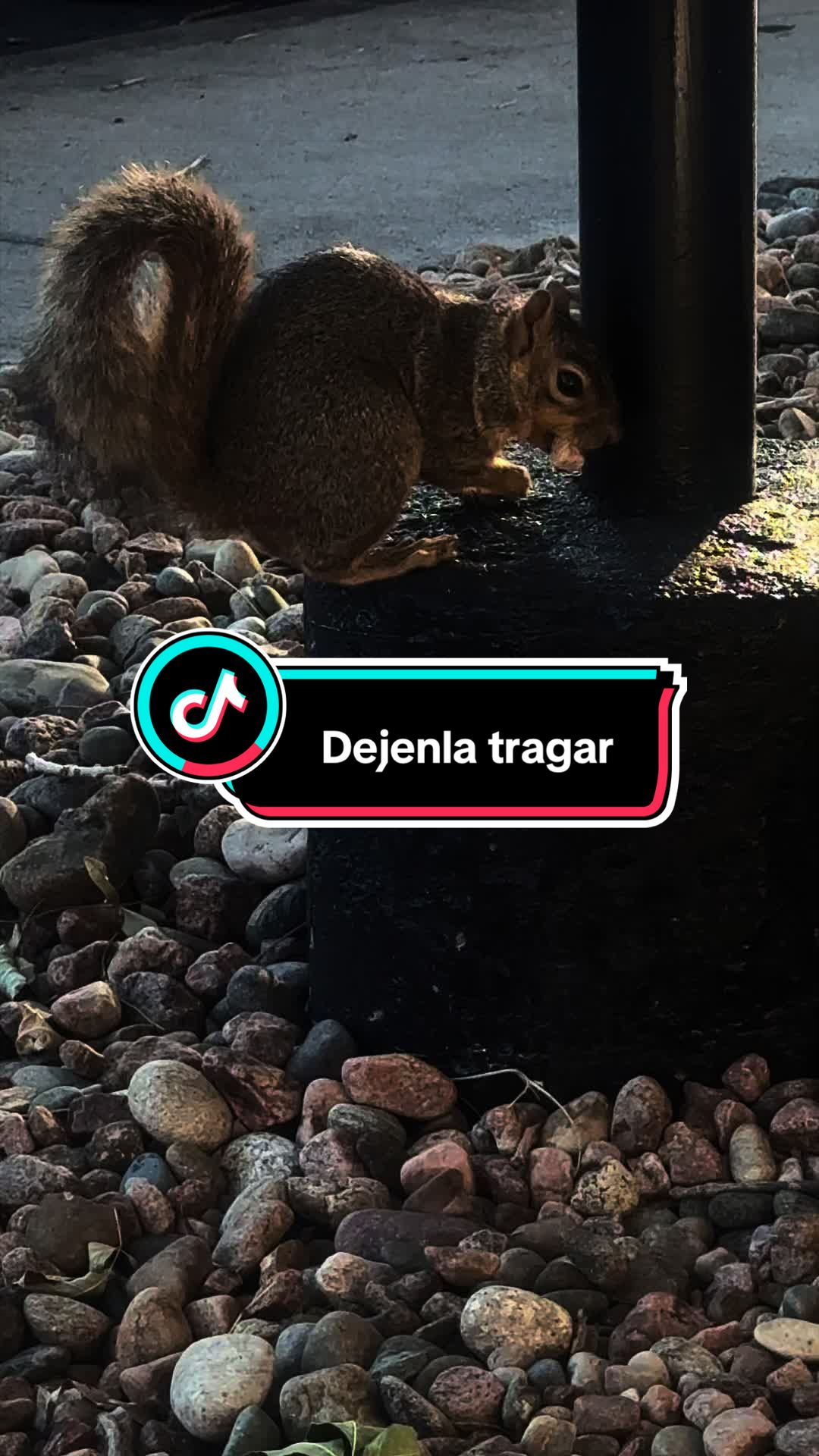 @Alan_Mtz656 🇲🇽 🐻