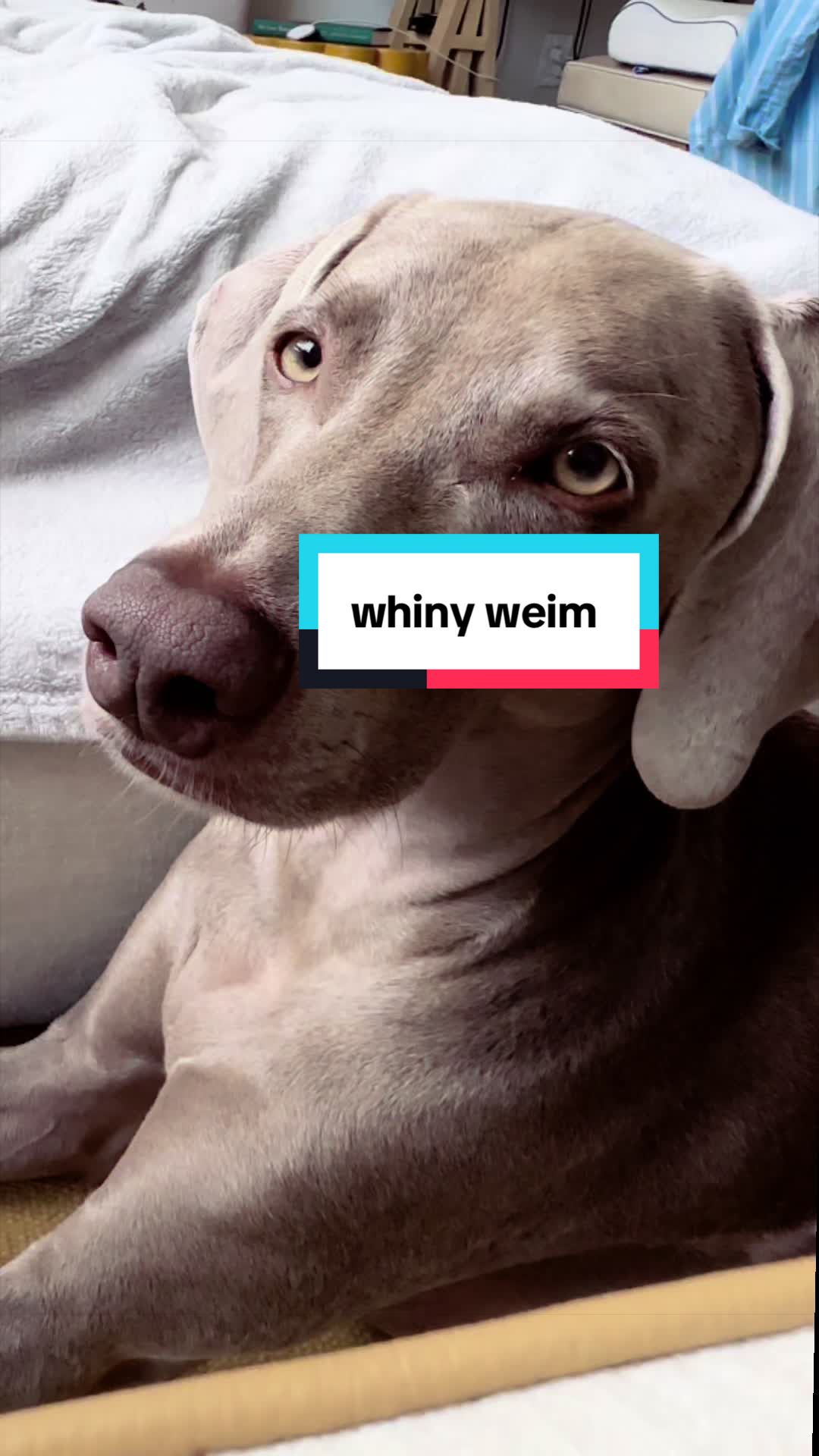 @theweimmoon