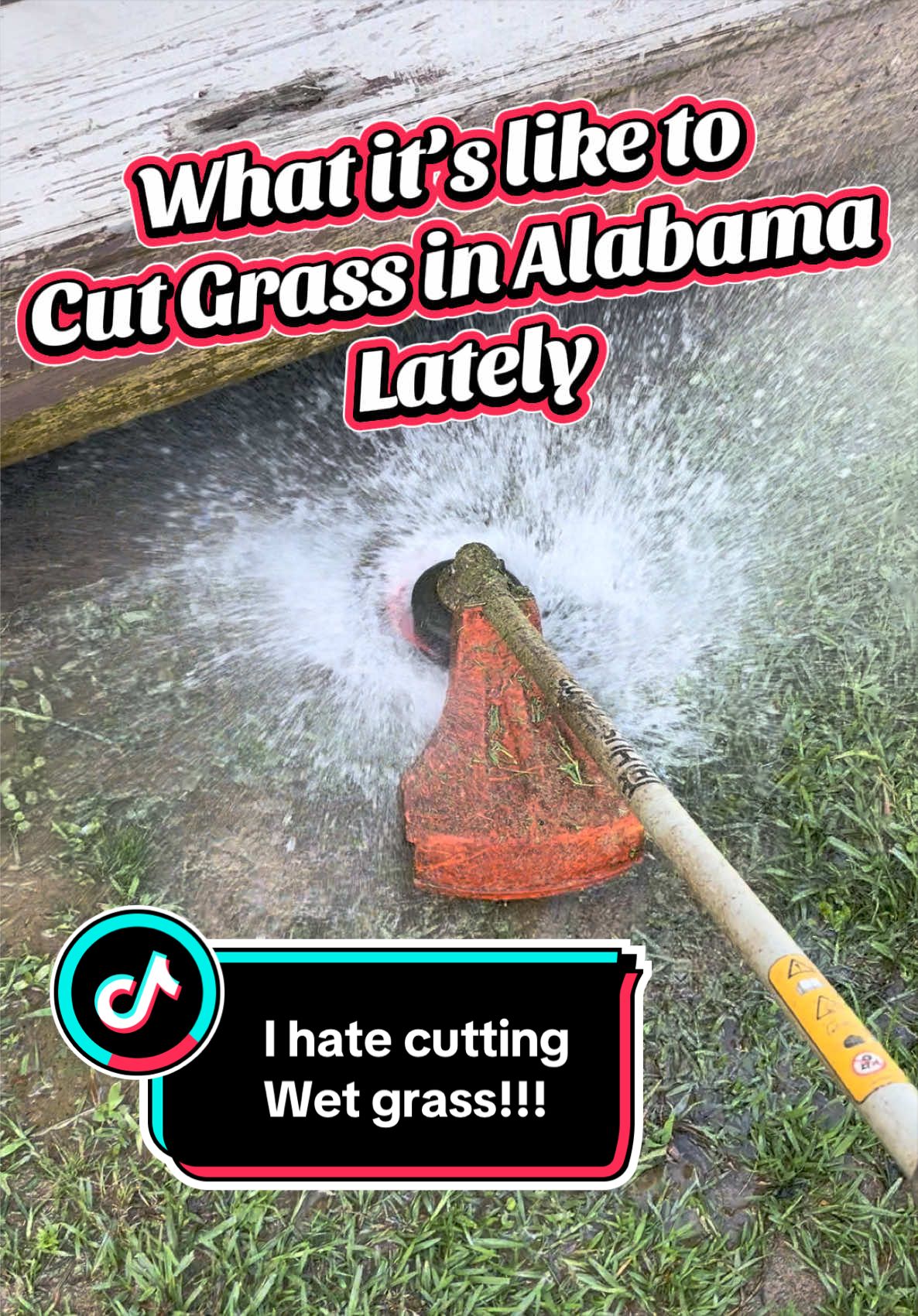 @MrLawnGuy