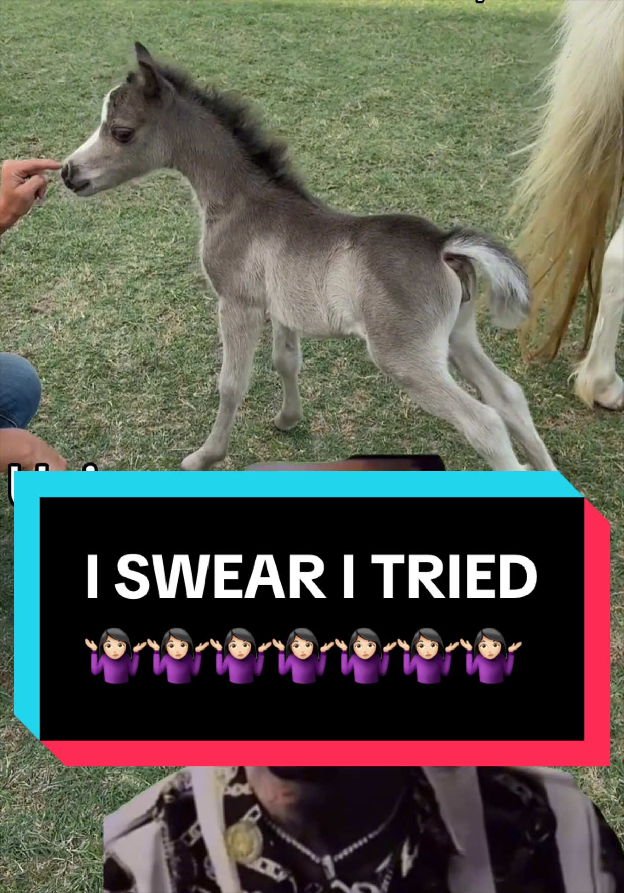 @Dr.Nicole-VetMed