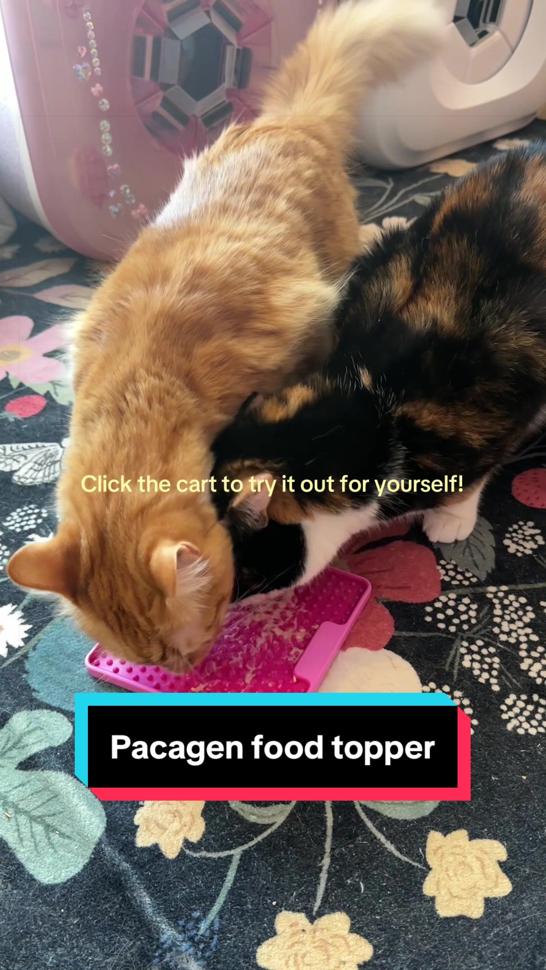 @meloncreamcat
