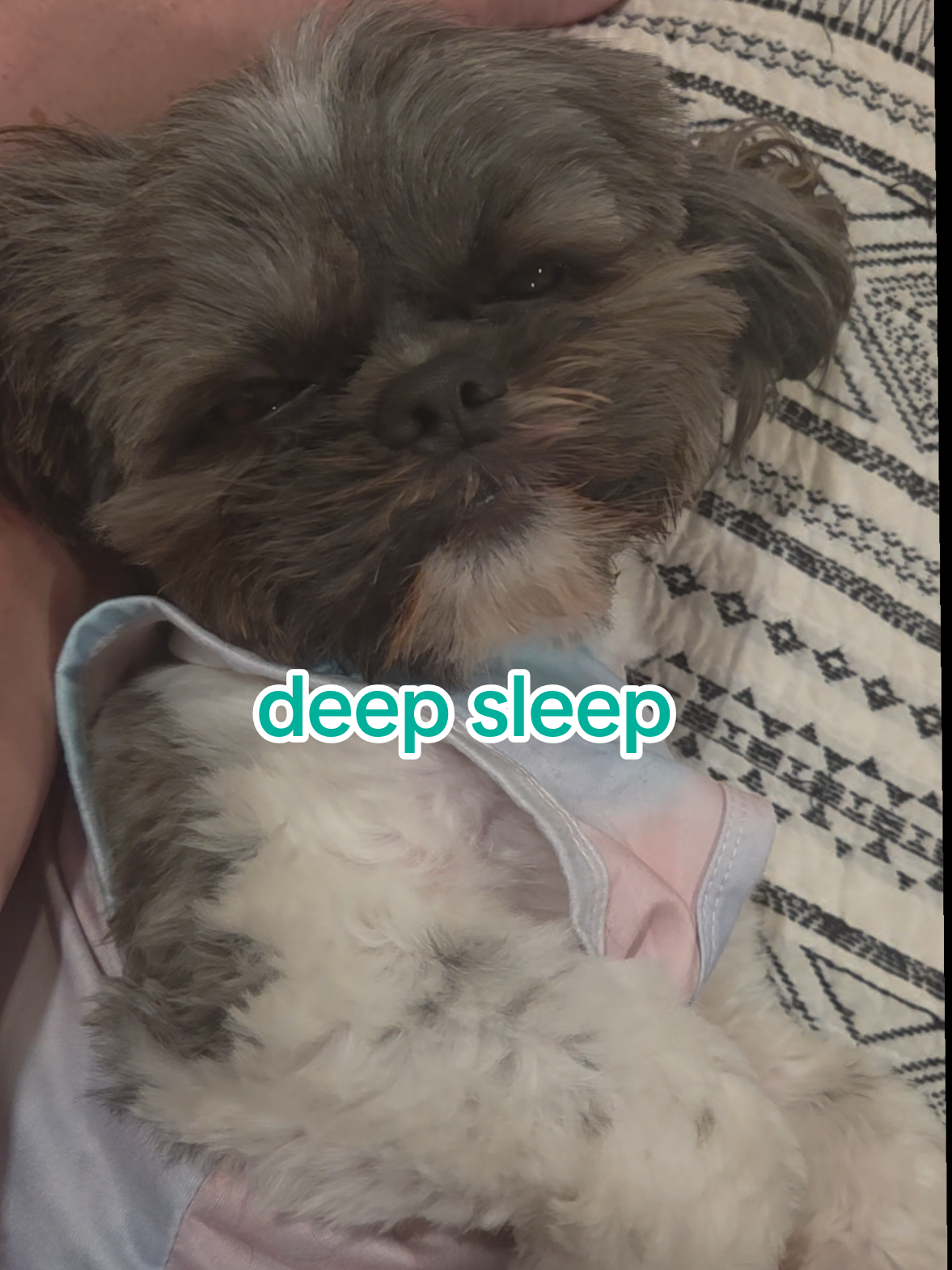 @🐶🎀OzzyBoy&Jenn🎀🐶