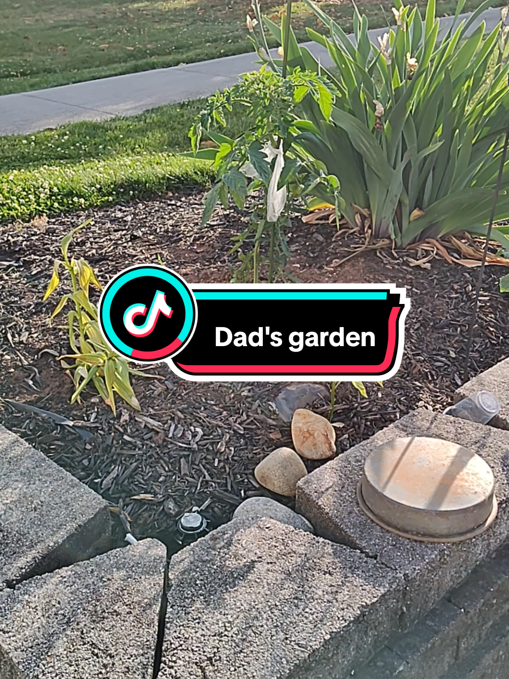 @thegardeningnurse7