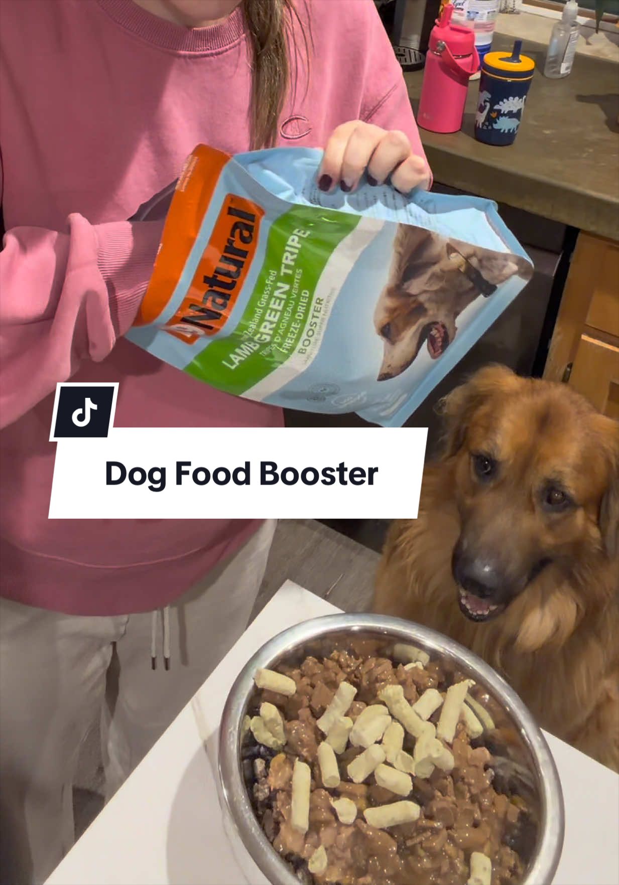 @lifewithgoldenshepherds