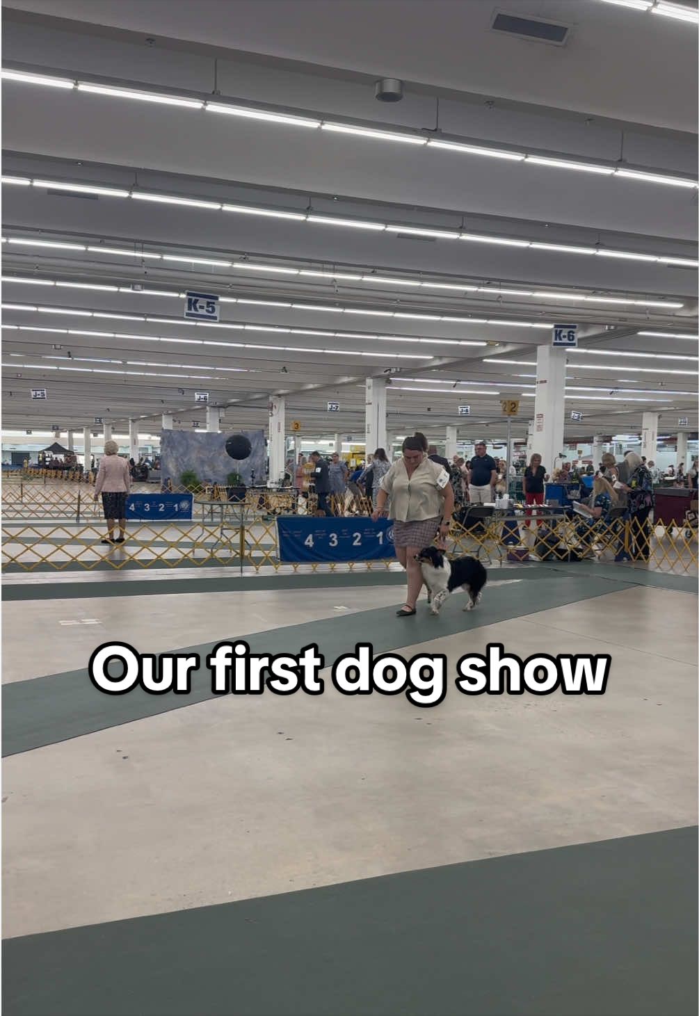 @thesaltysheps