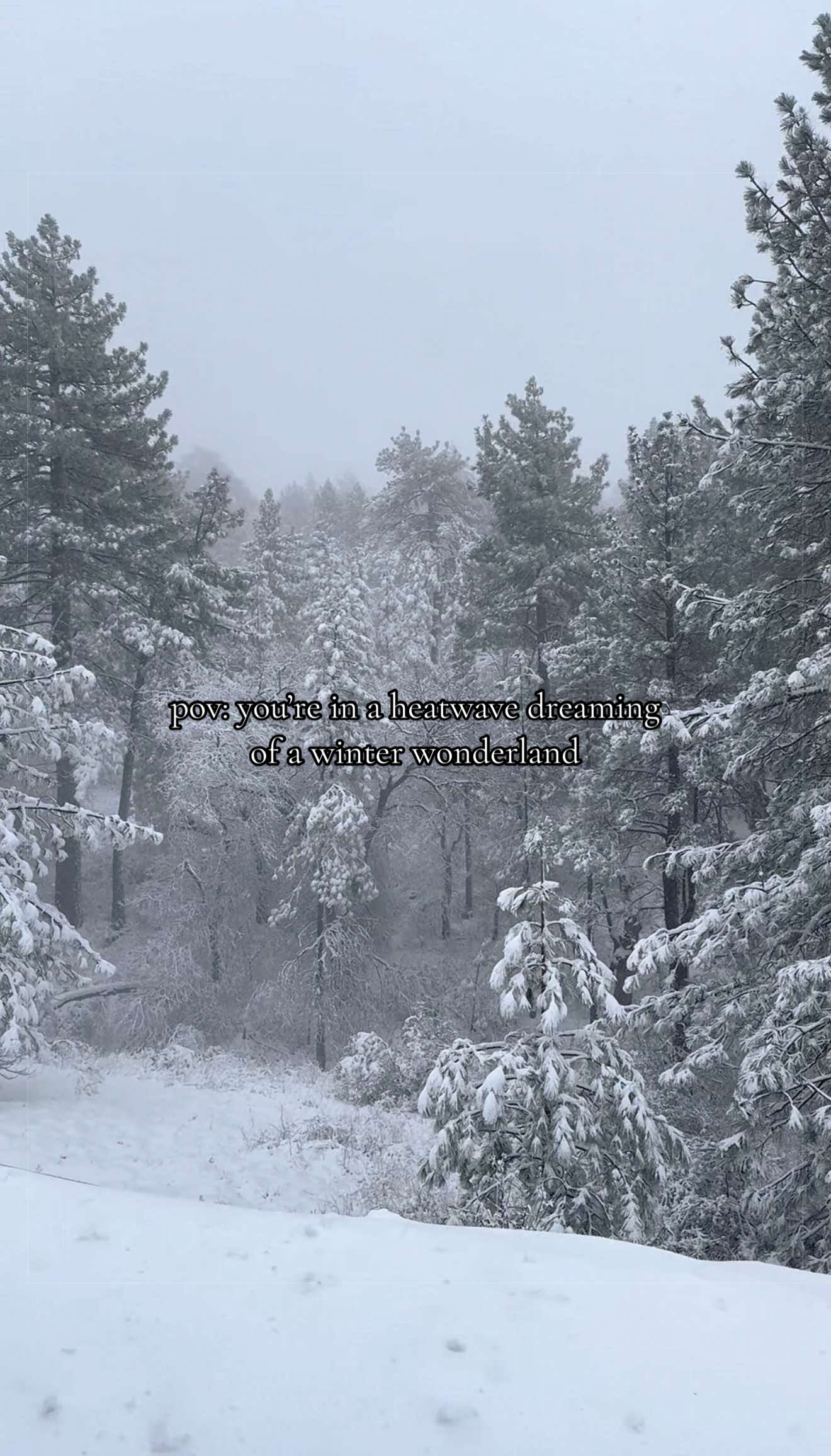 @Seasonal Kaitlyn