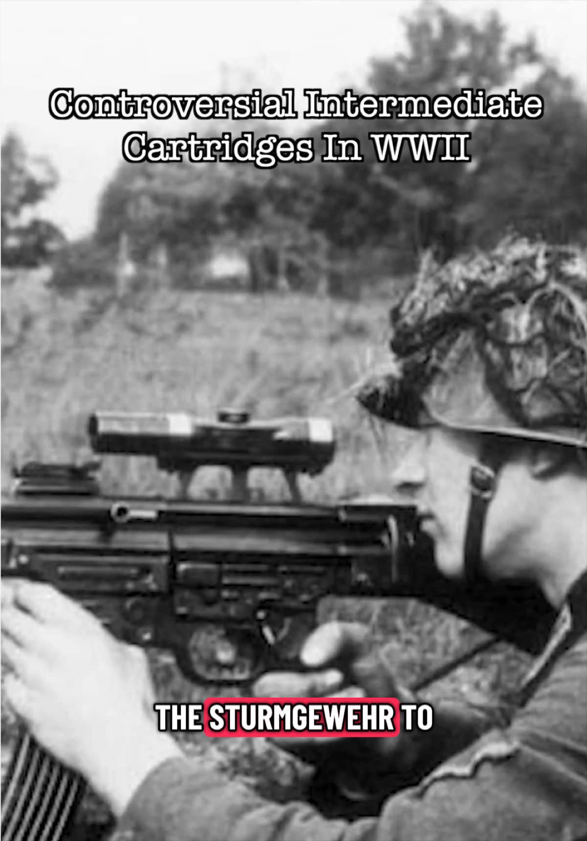 @World War Wisdom