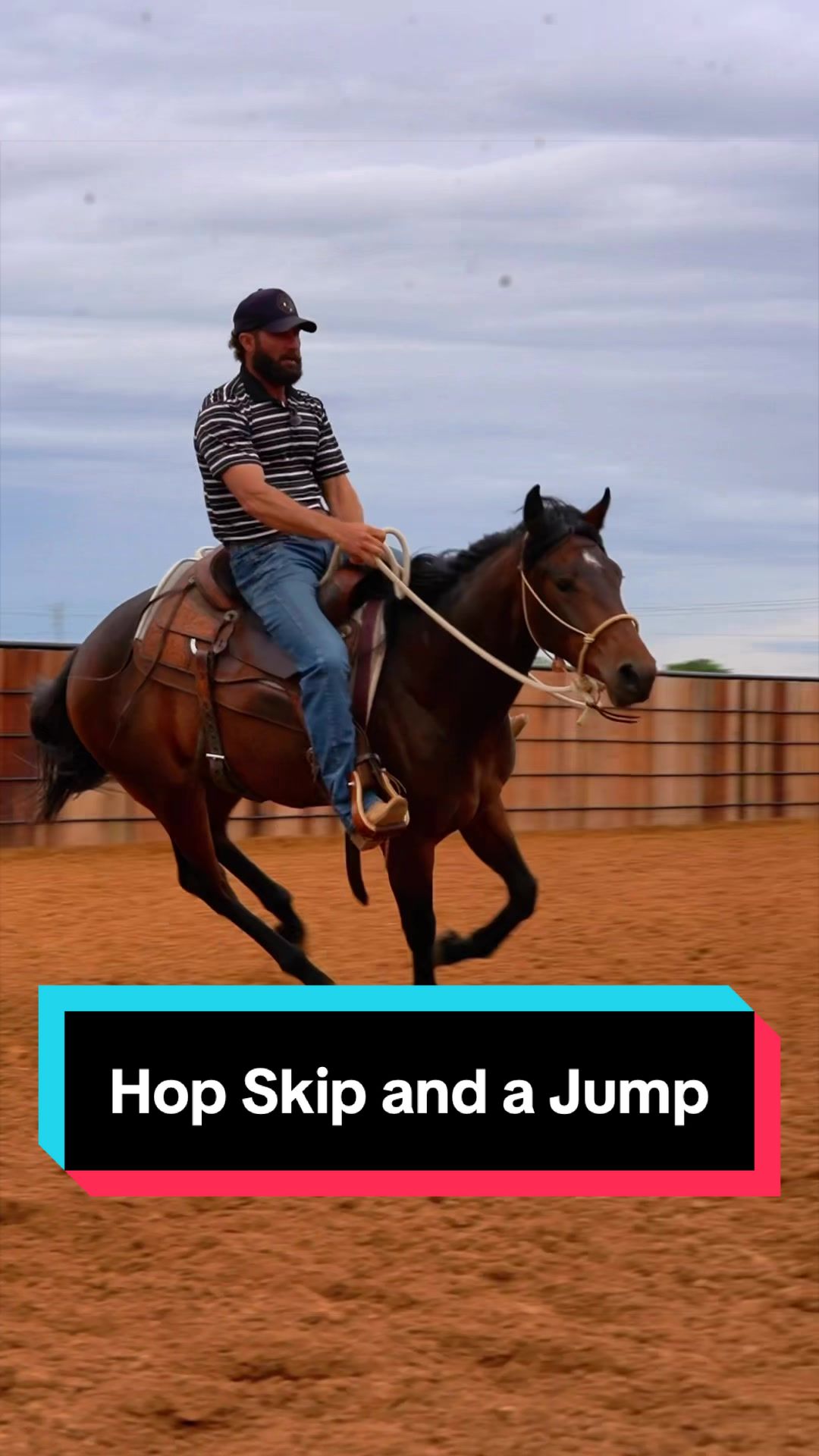 @WS Horses