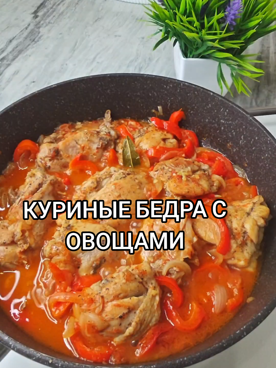 @Galina