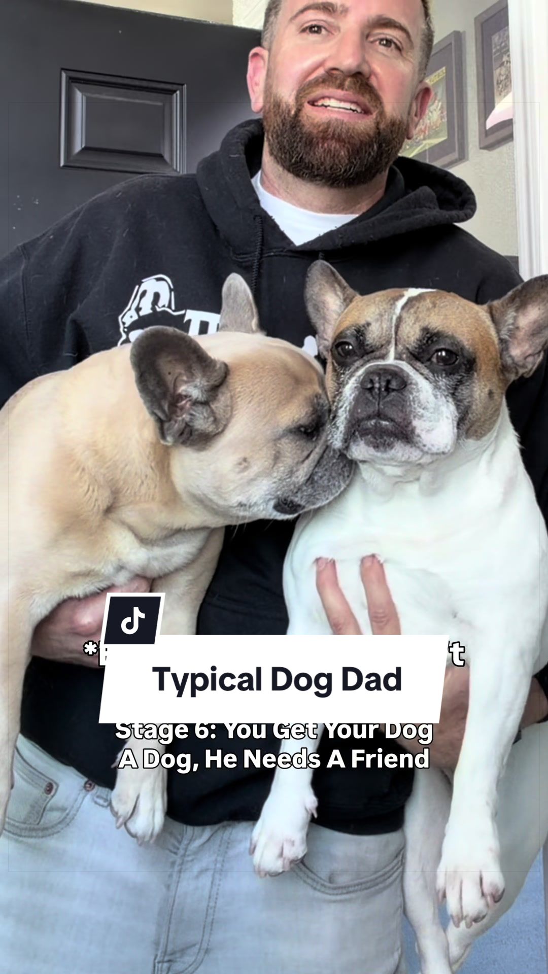 @Somefrenchienamedapollo