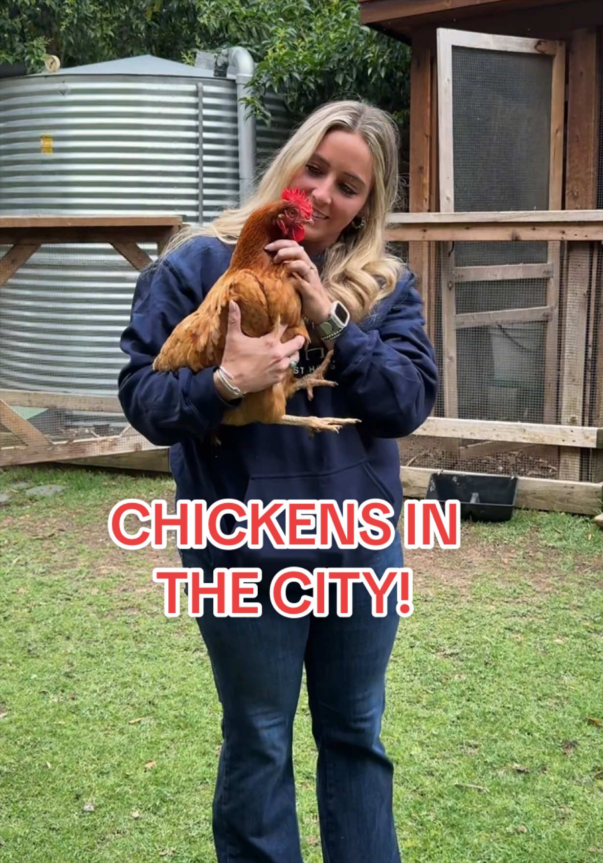 @Gulf Coast Cluckers