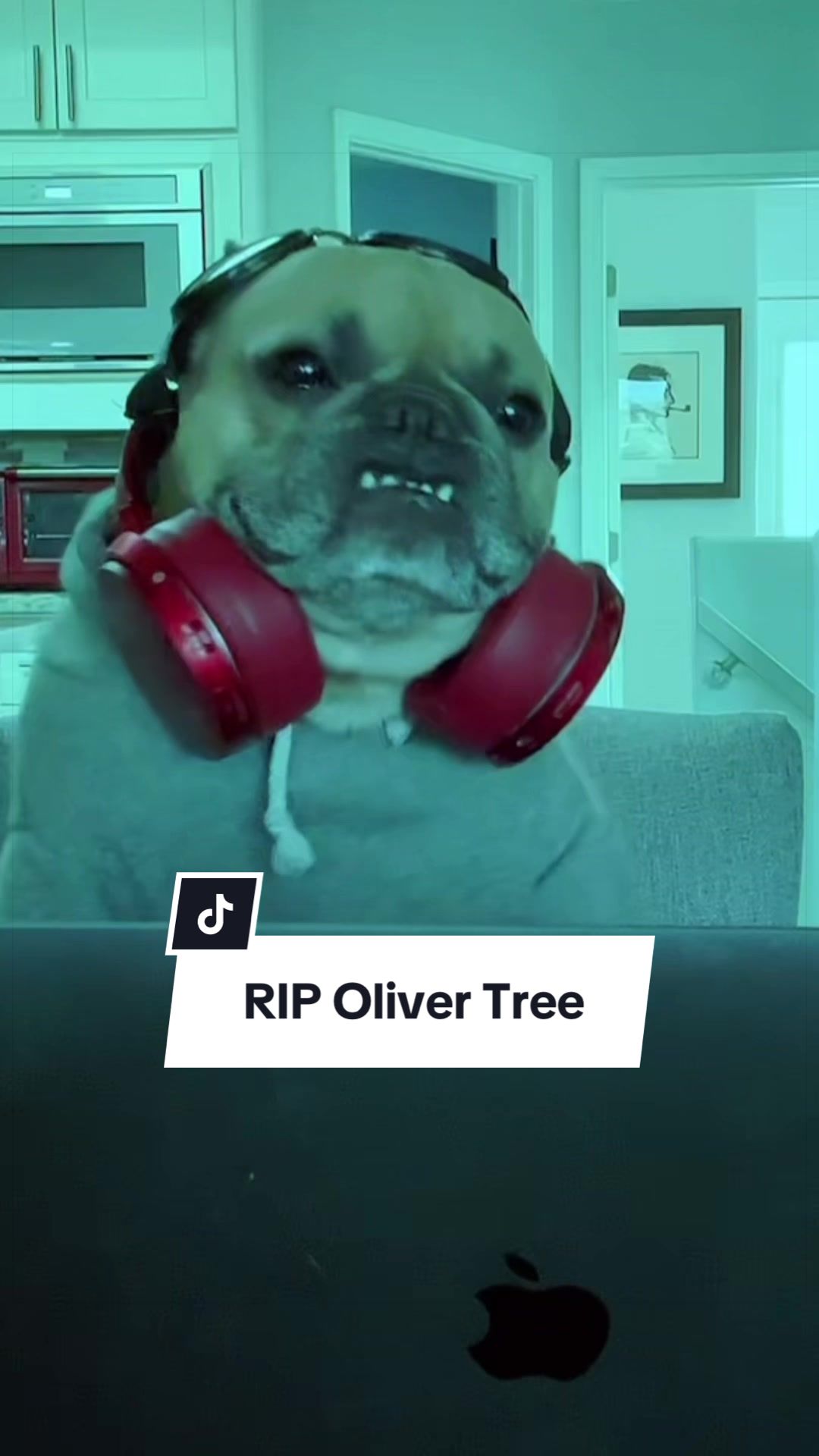 @Somefrenchienamedapollo