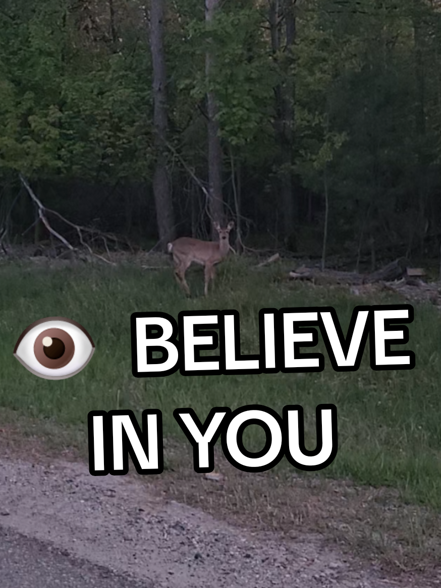 @TABBY🎀👁BELIEVE IN U🎀