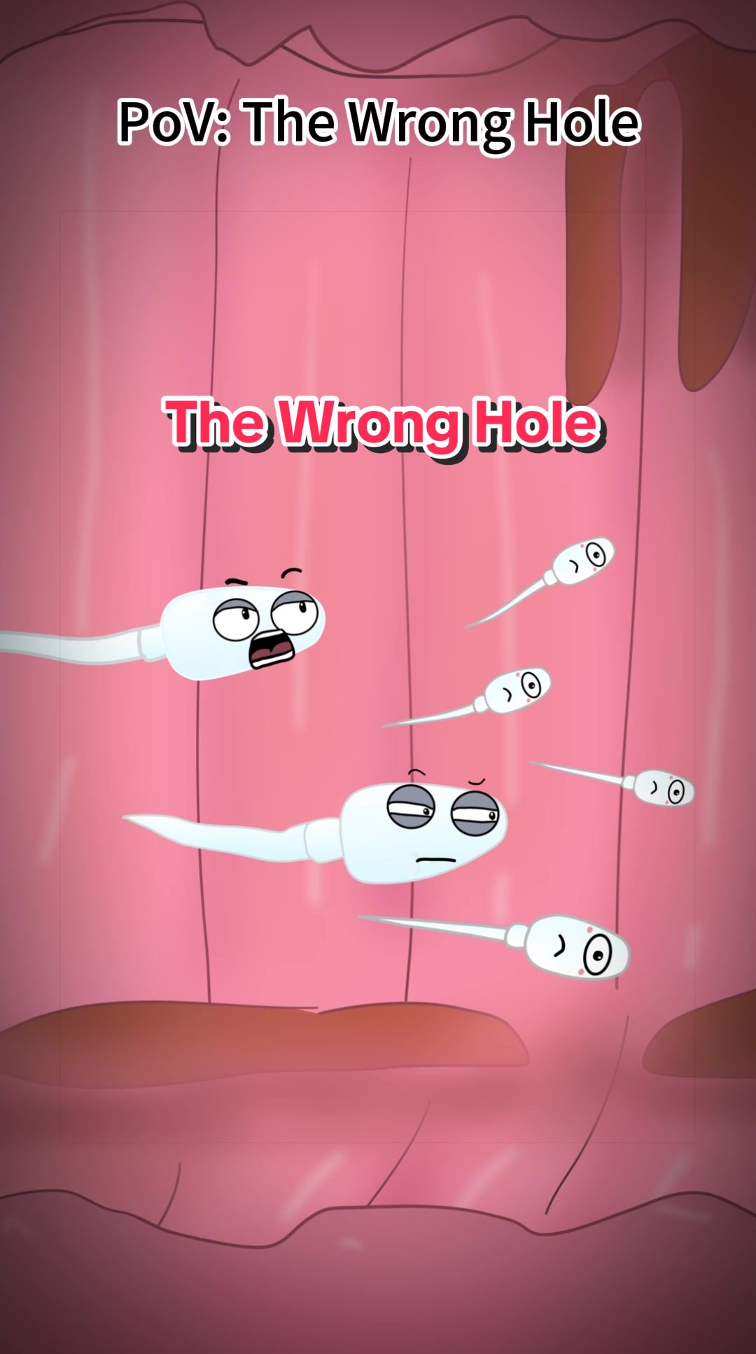 @Funny Animations