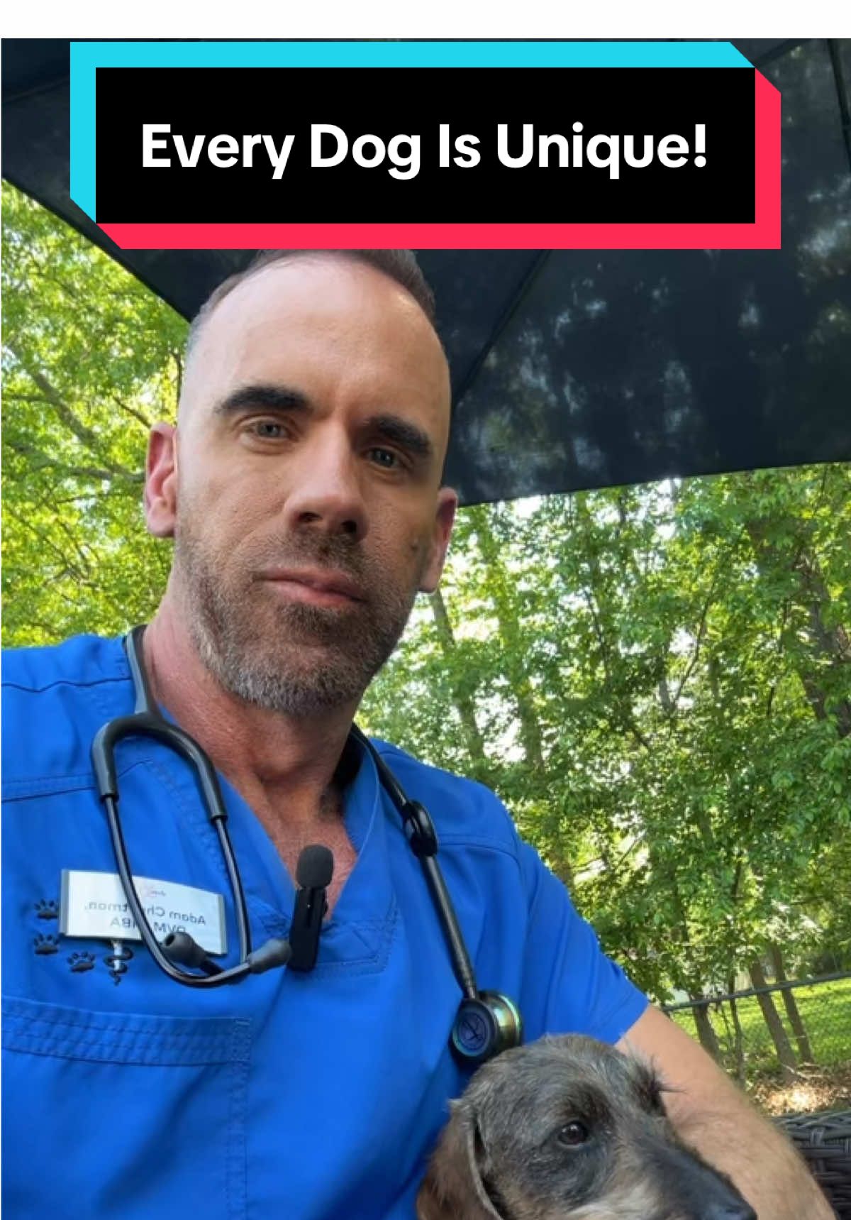 @dr.adam_christman_Veterinarian