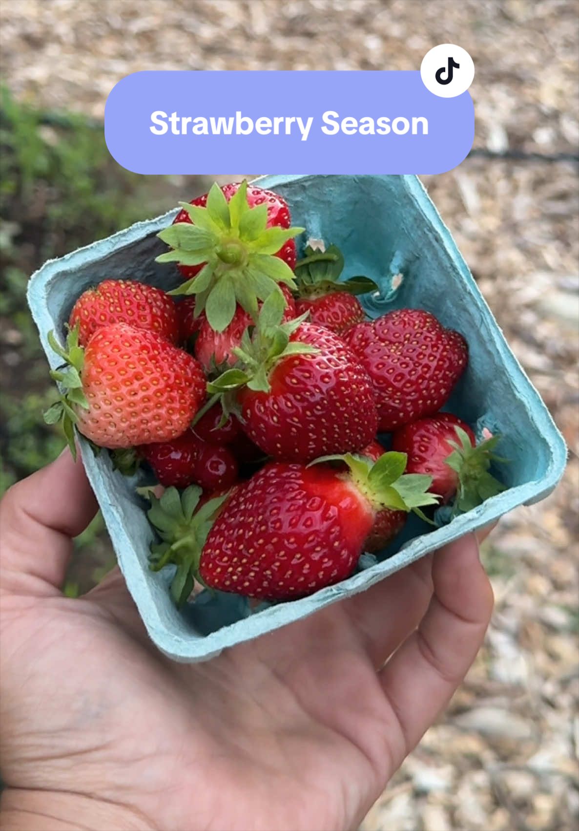 @Manica | zone 6a gardener