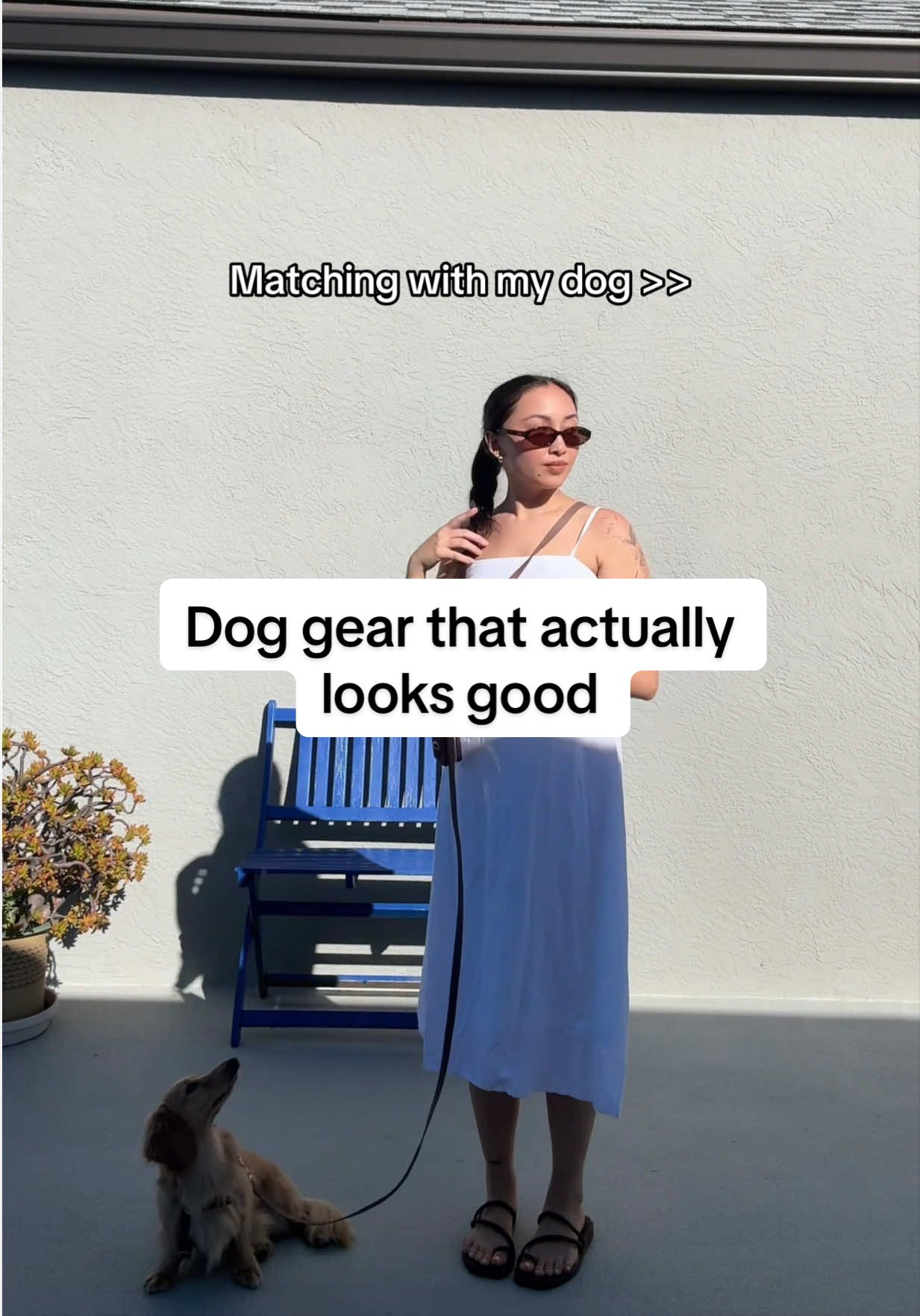 @Shop Sunny Tails