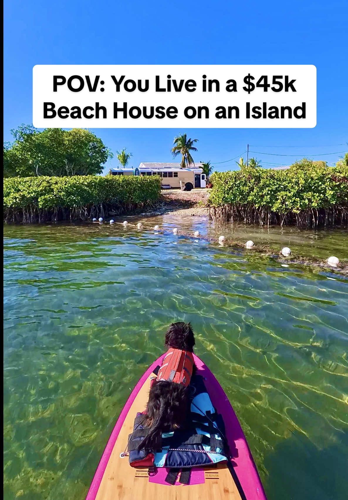 @Allison and Nick