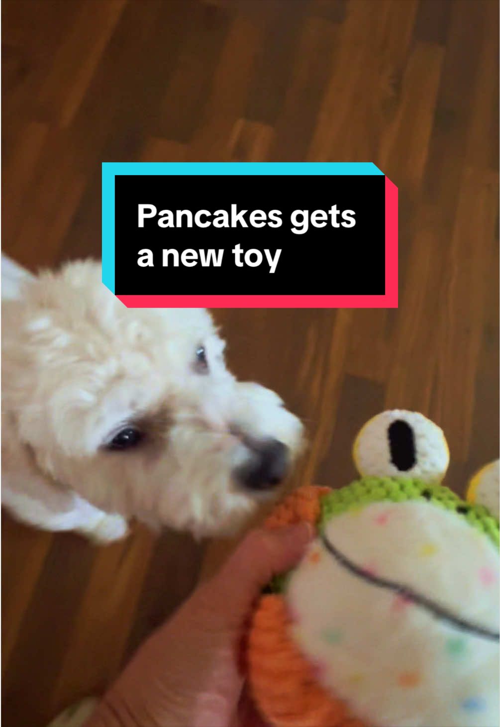 @Darlena and Pancakes