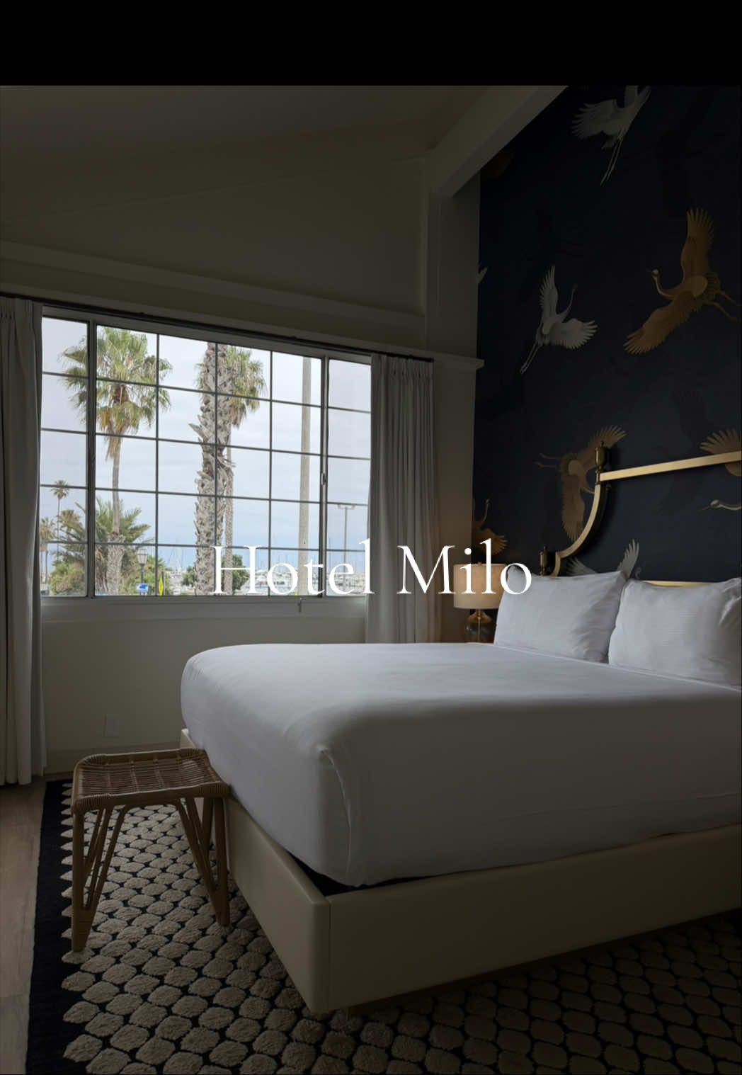 @Lauren | Chic Travel + SF