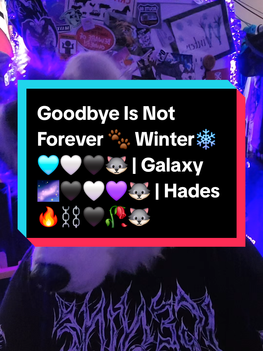 @🐺❄ WINTER COLLINS ❄🐺