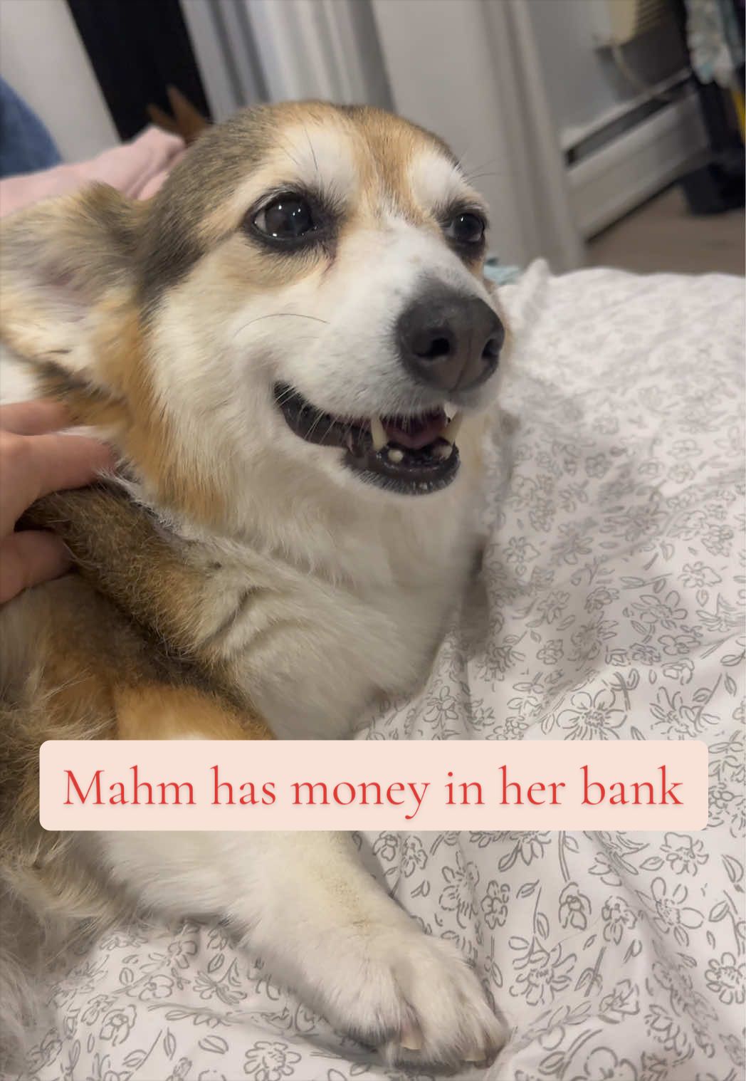 @Marley