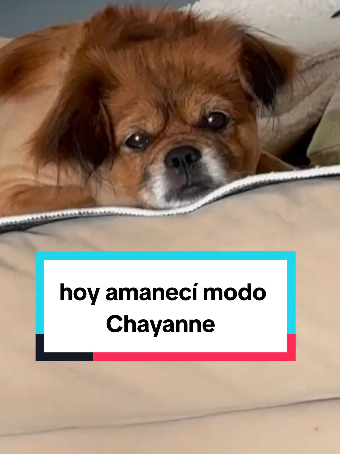 @Omar Vargas