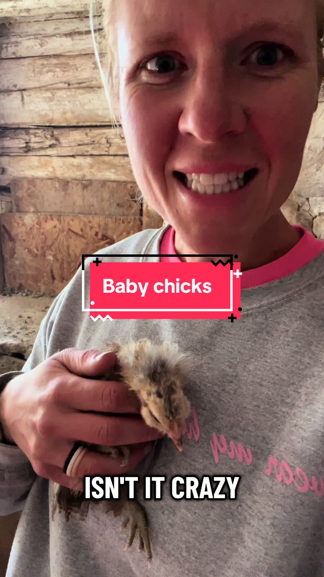 @littlesandycreekfarm
