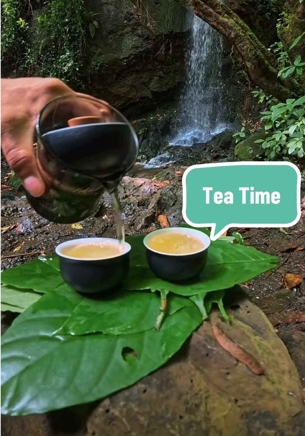 @Hawaii tiktok