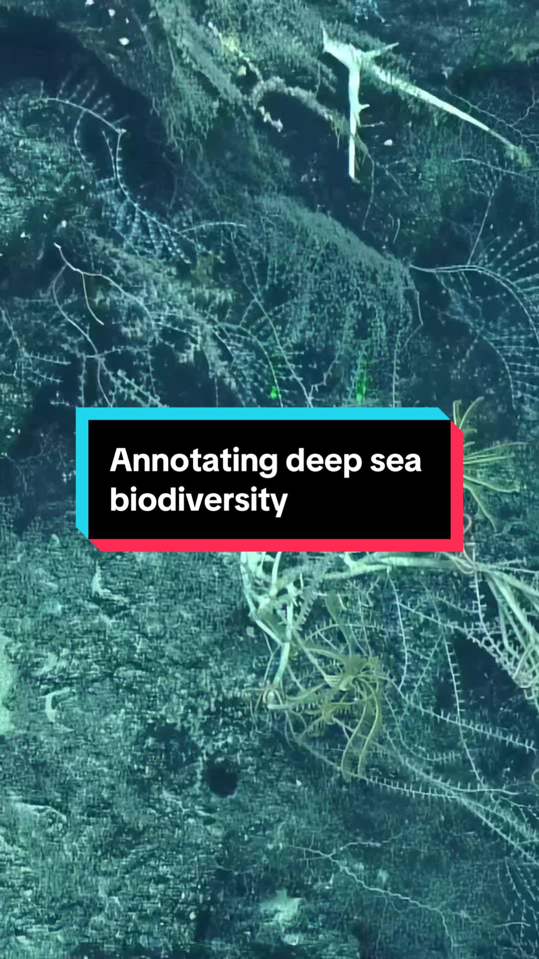 @Ocean Exploration Trust