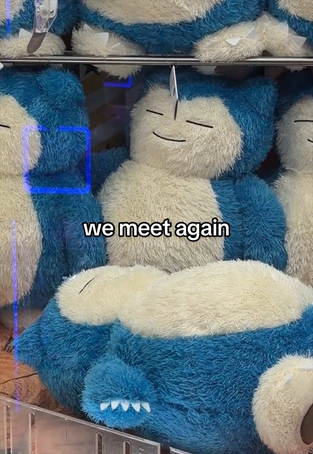 @Rose