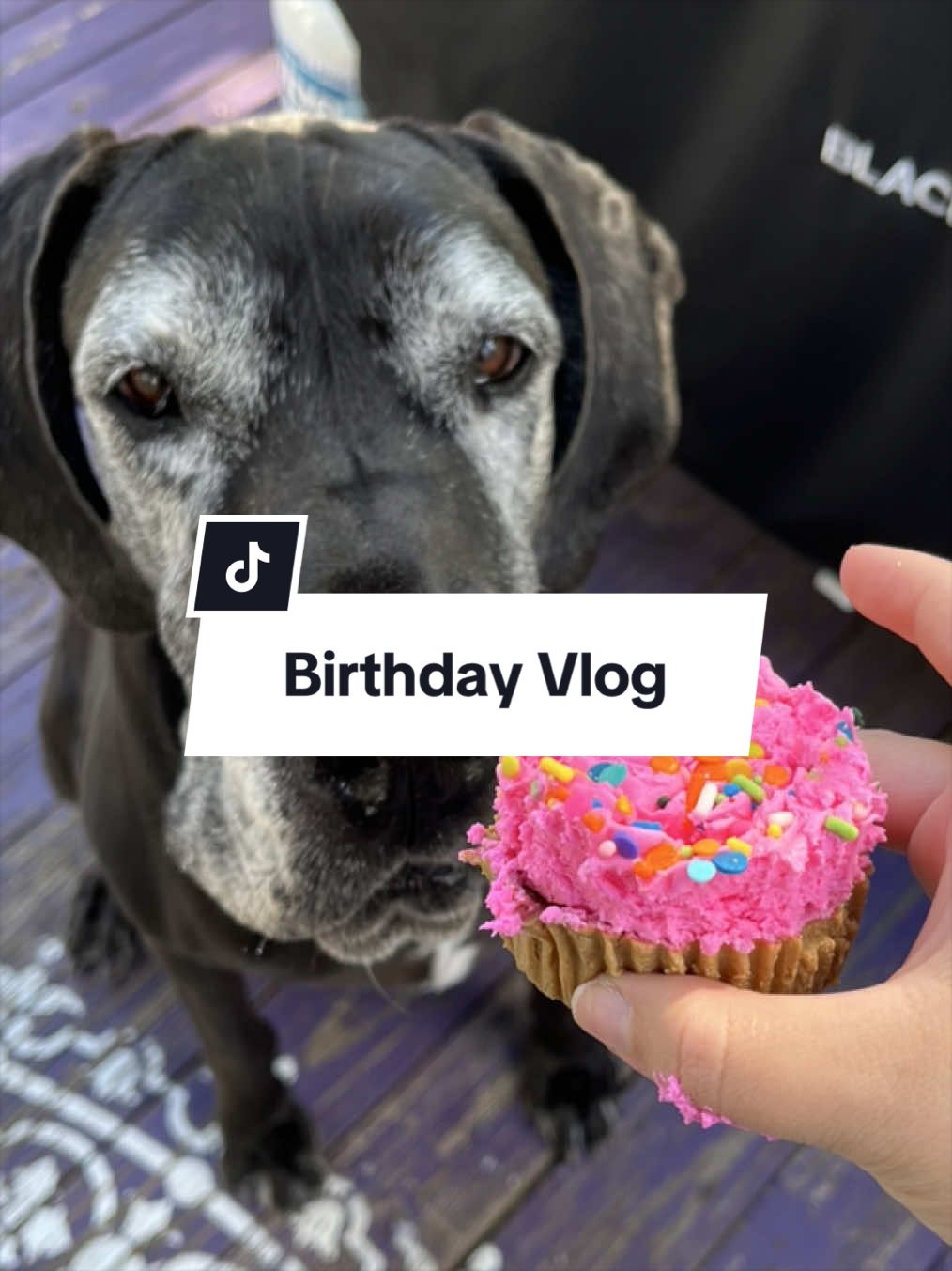@ruffined.k9