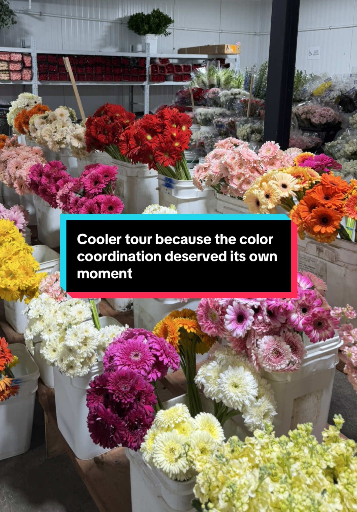 @New Era Flowers