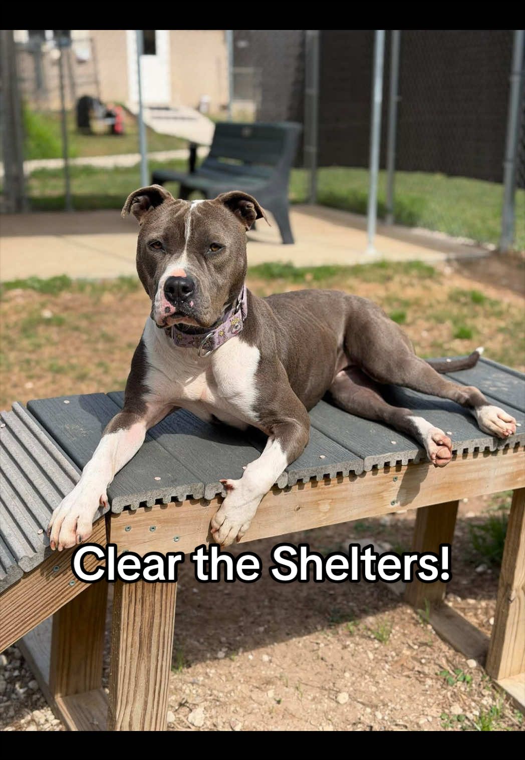 @Corridor Rescue Inc.