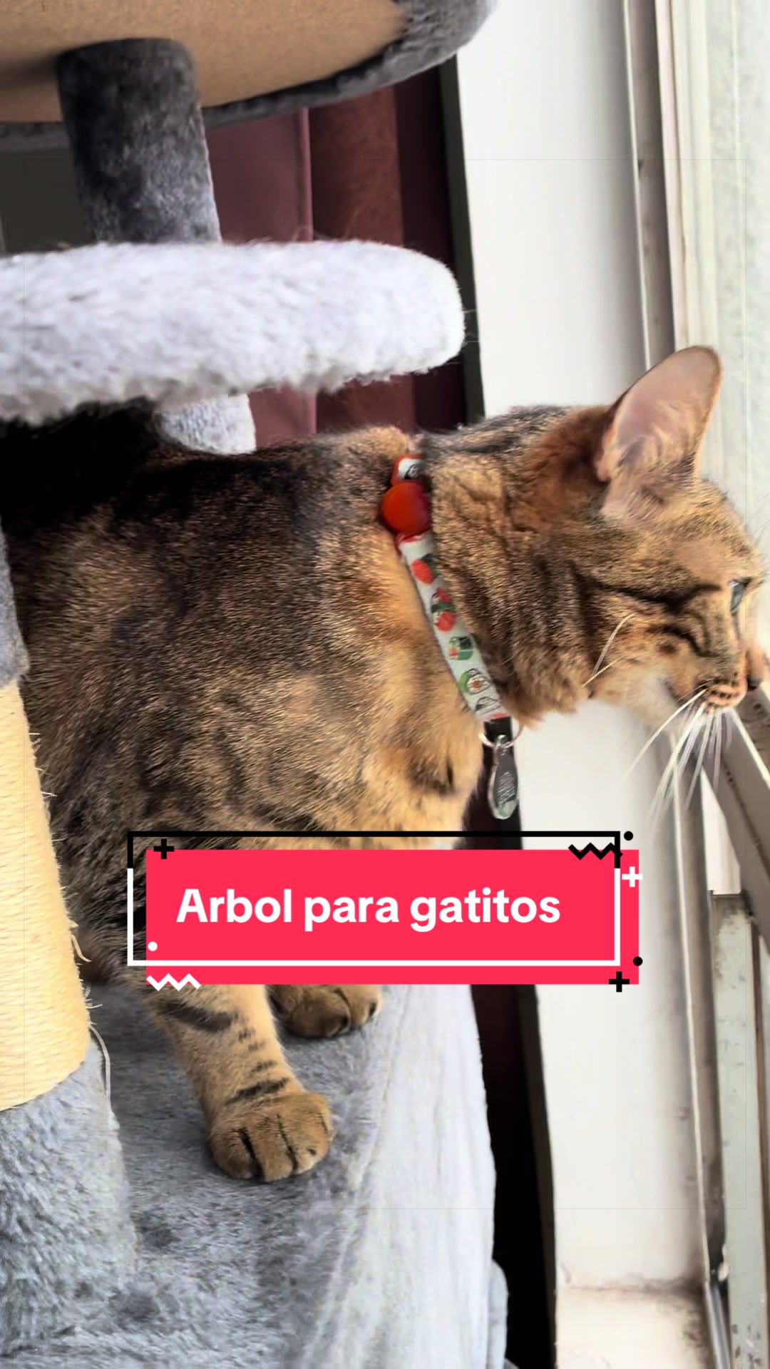 @Pily y Abelito